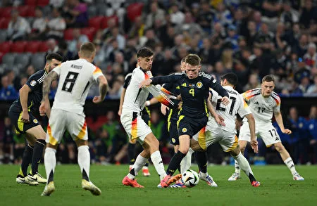 欧洲杯足球赛事现场，333体育作为官方合作伙伴